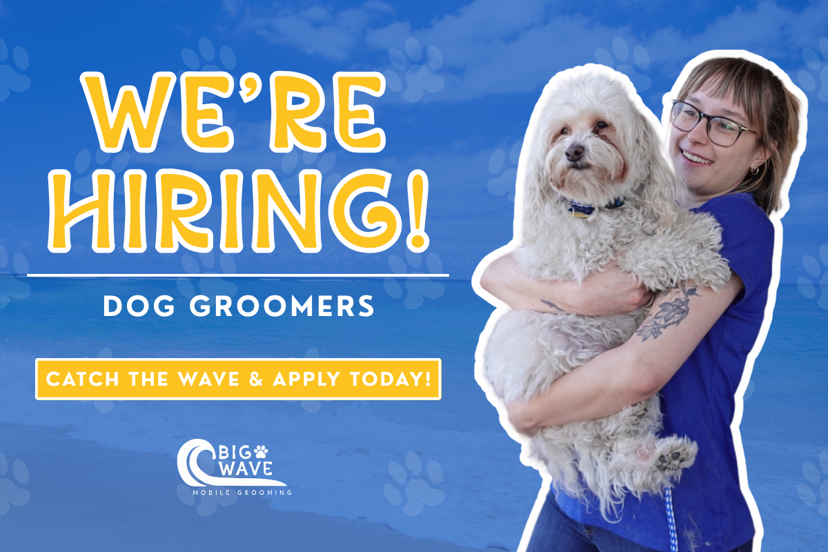 BW_WE'RE HIRING